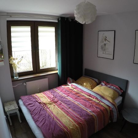 Apartament Bieszczady Apartamento Ustrzyki Dolne Exterior foto